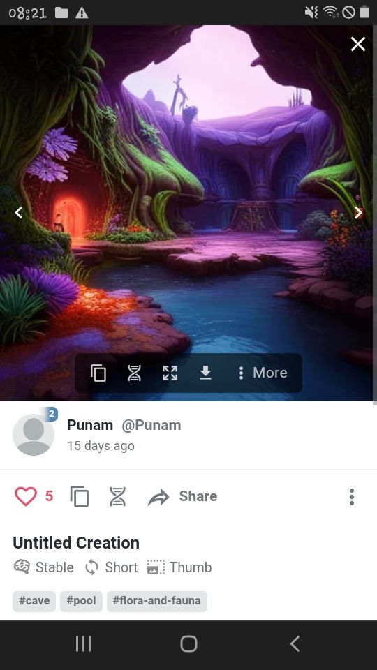 Punam