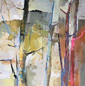 Image uploaded by user