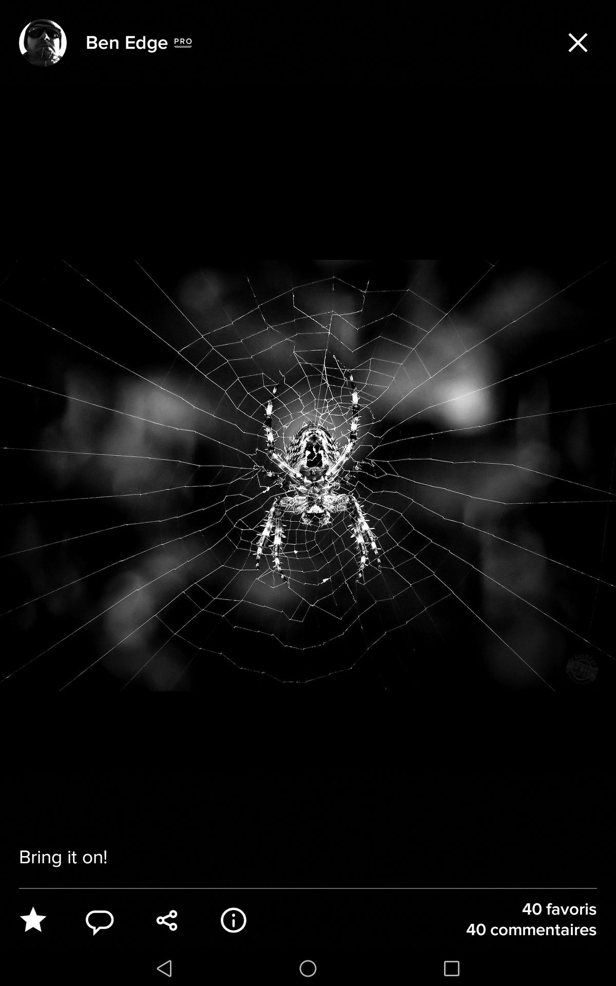 Aracnart~*Lululace 5.2 & fascination