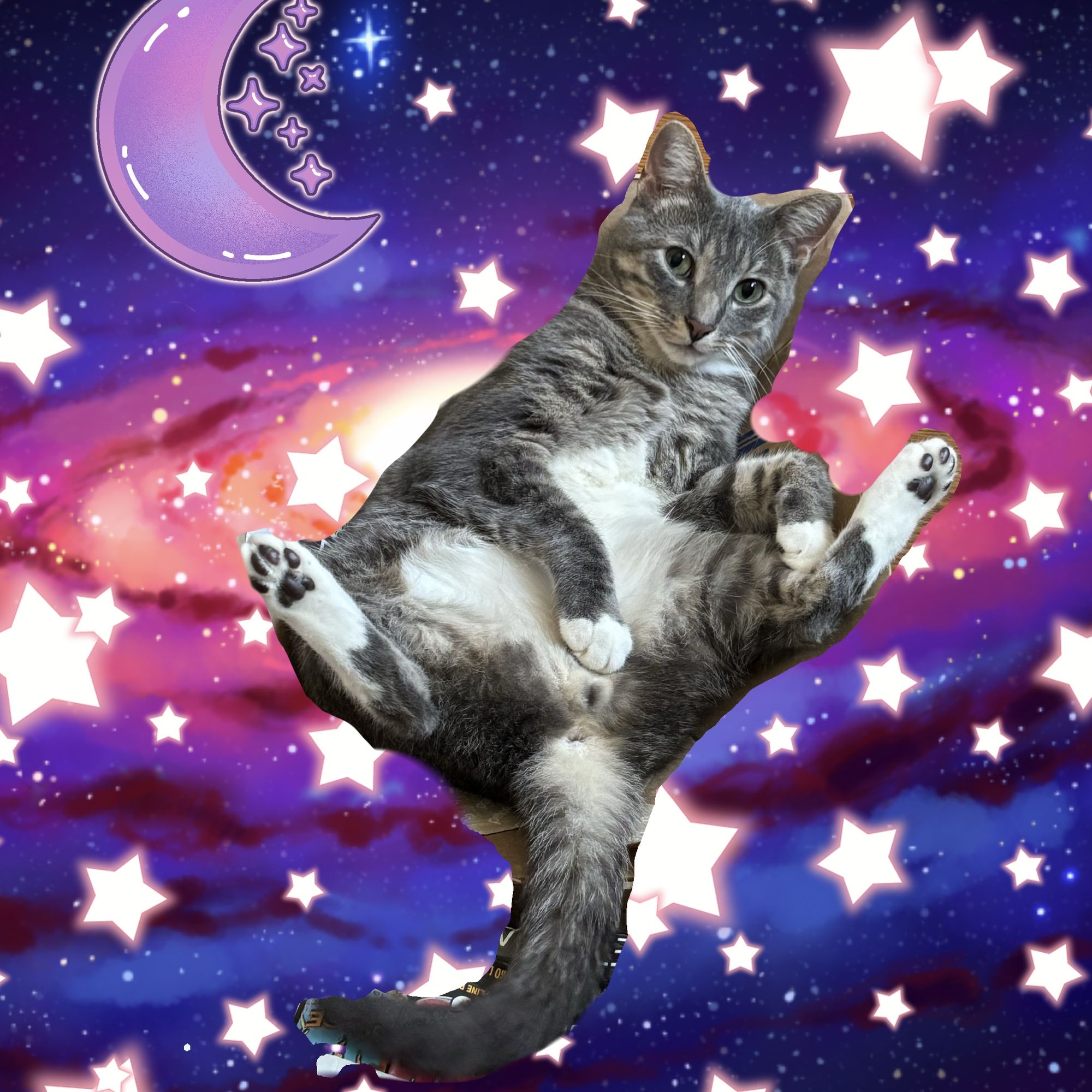Cute gray tabby cat with a white tummy and white paws striking a silly pose in the cosmos, surrounded by sparkling stars and a purple moon. ...