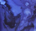 Javier Torres Maldonado