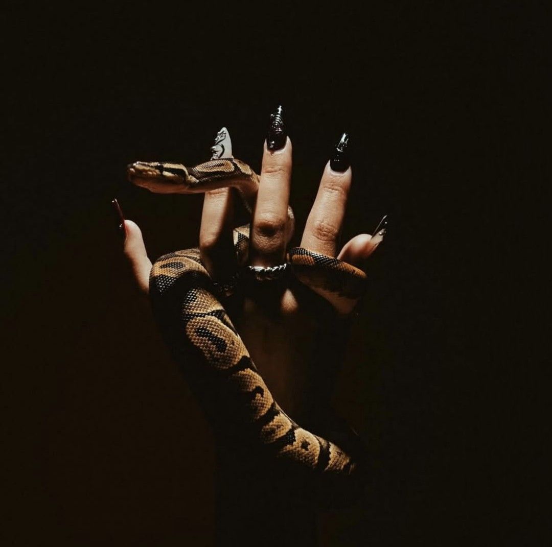 Evil - Start Image 1