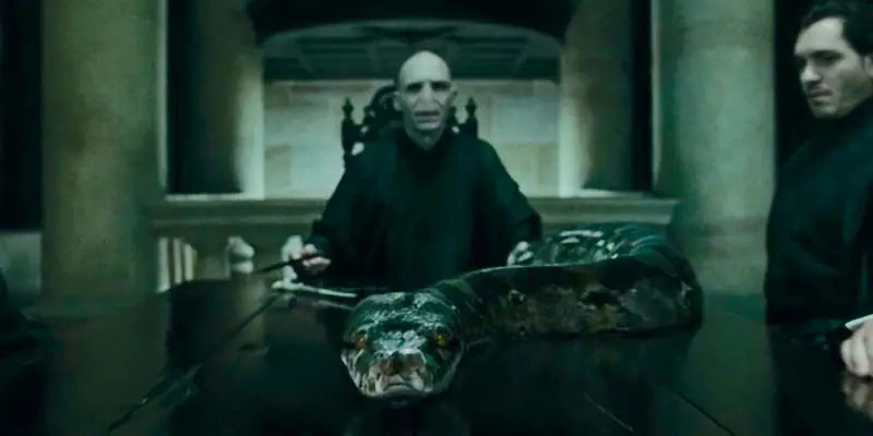 Voldemort and Nagini