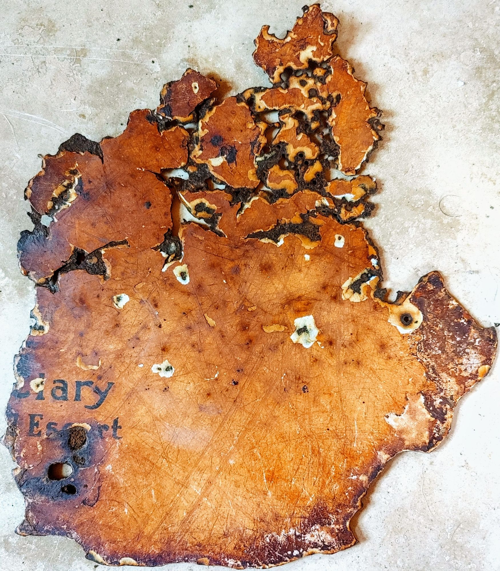 <lora:Flowing Root Lines:1.0> <lora:Pinny Pin v1-1:1.0> <lora:CorvidiconFlux:1.0> <lora:Intricacy Vibe:1.0> <lora:DigiGLTCH-by-Chaonea:1.0> ...