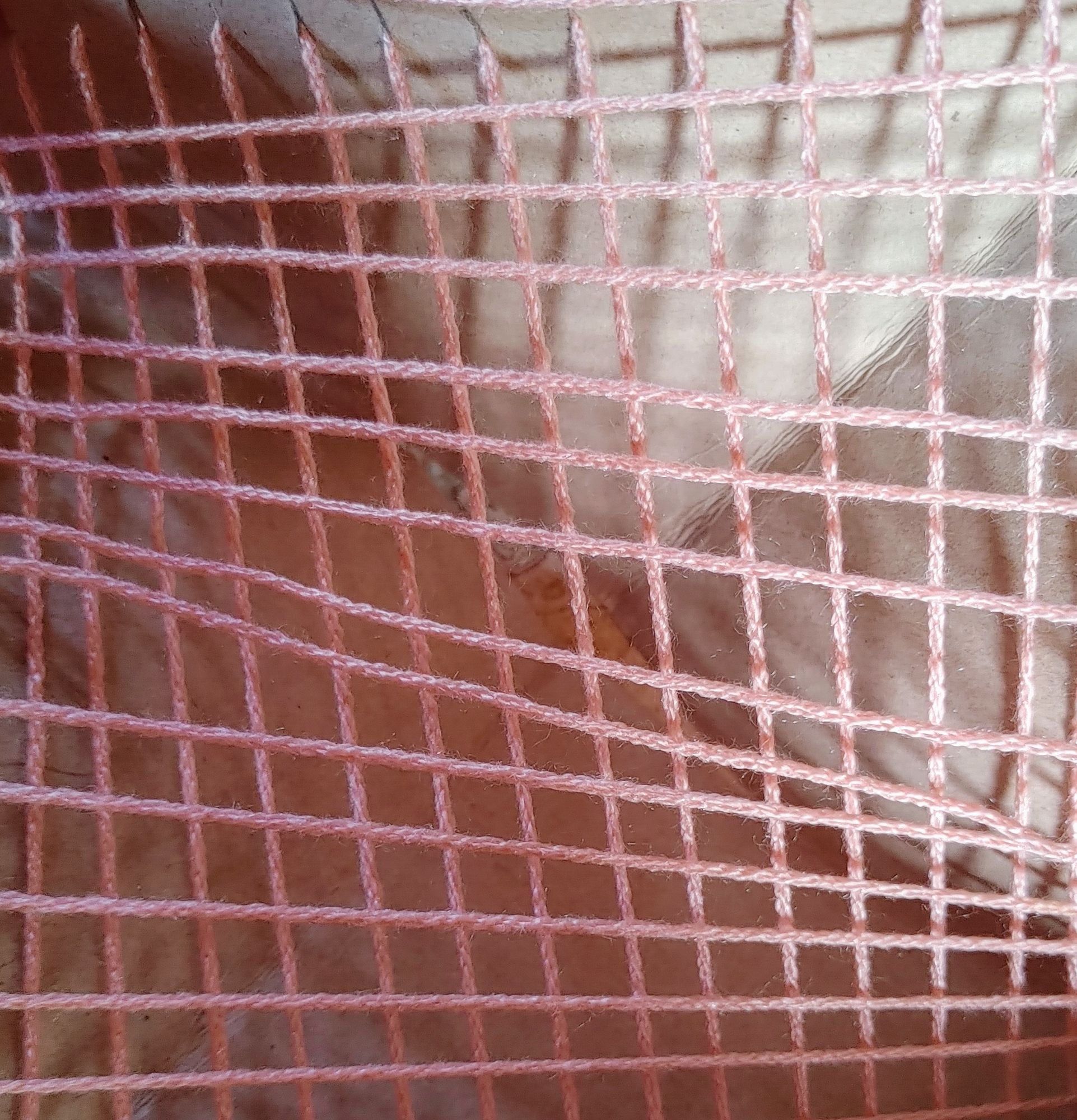 I Love You, My Tweet One!!!!