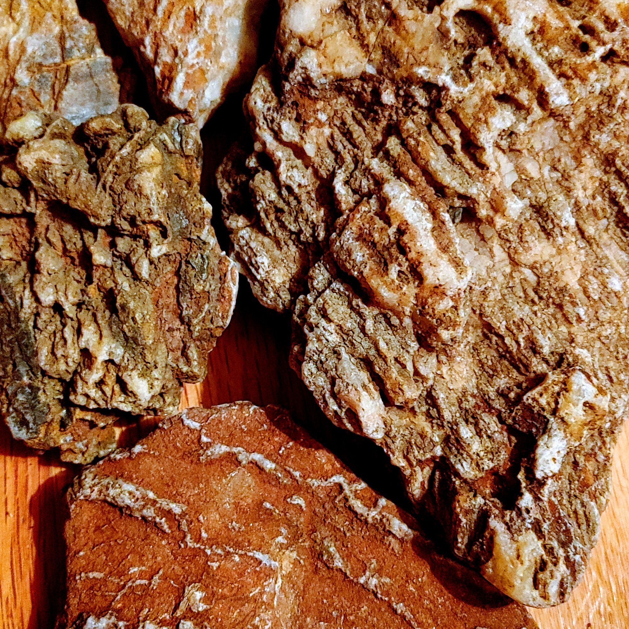 Octopus In Wonderland!!!!