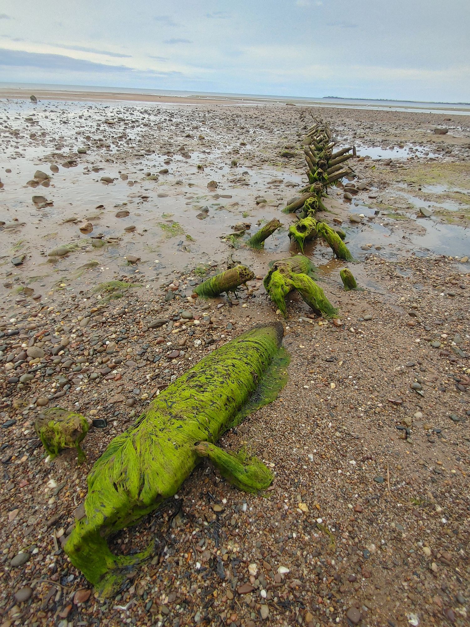 Two Souls Seem Dream....