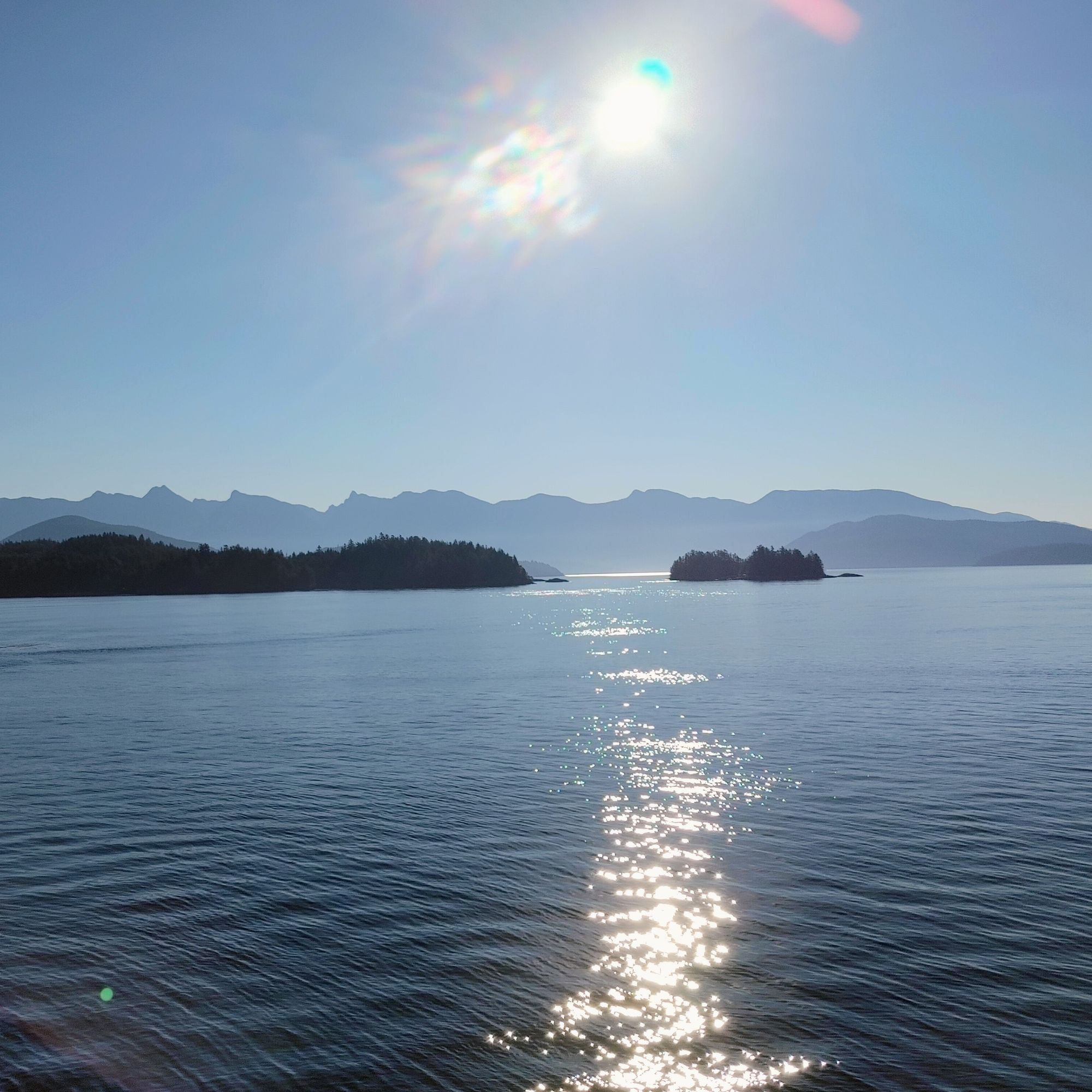 Marsh Hunters On Planet Lilylon....