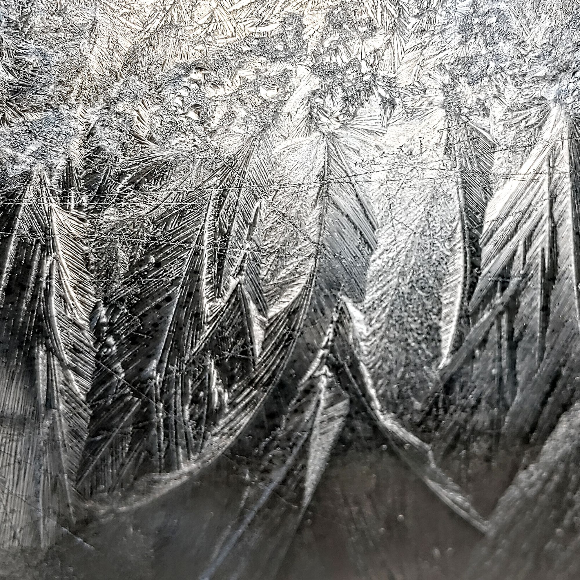 Three Flower Ladies....