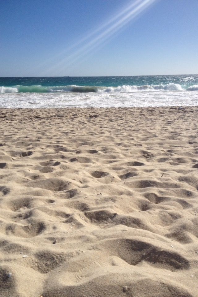 The beach 