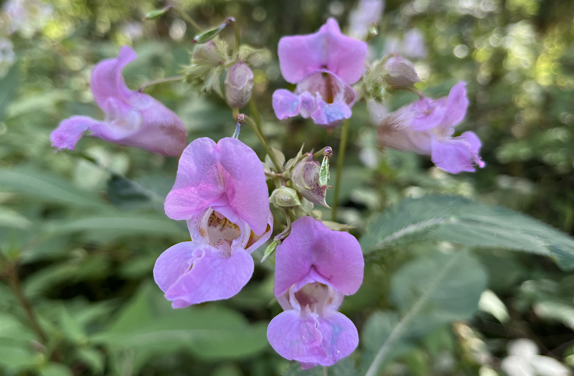 ...reimagined from a photo 