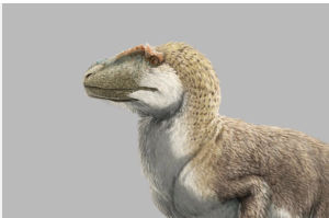 Yutyrannus