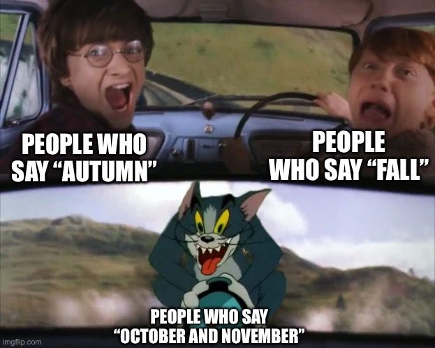 memes out of an AI's brain (which is small)