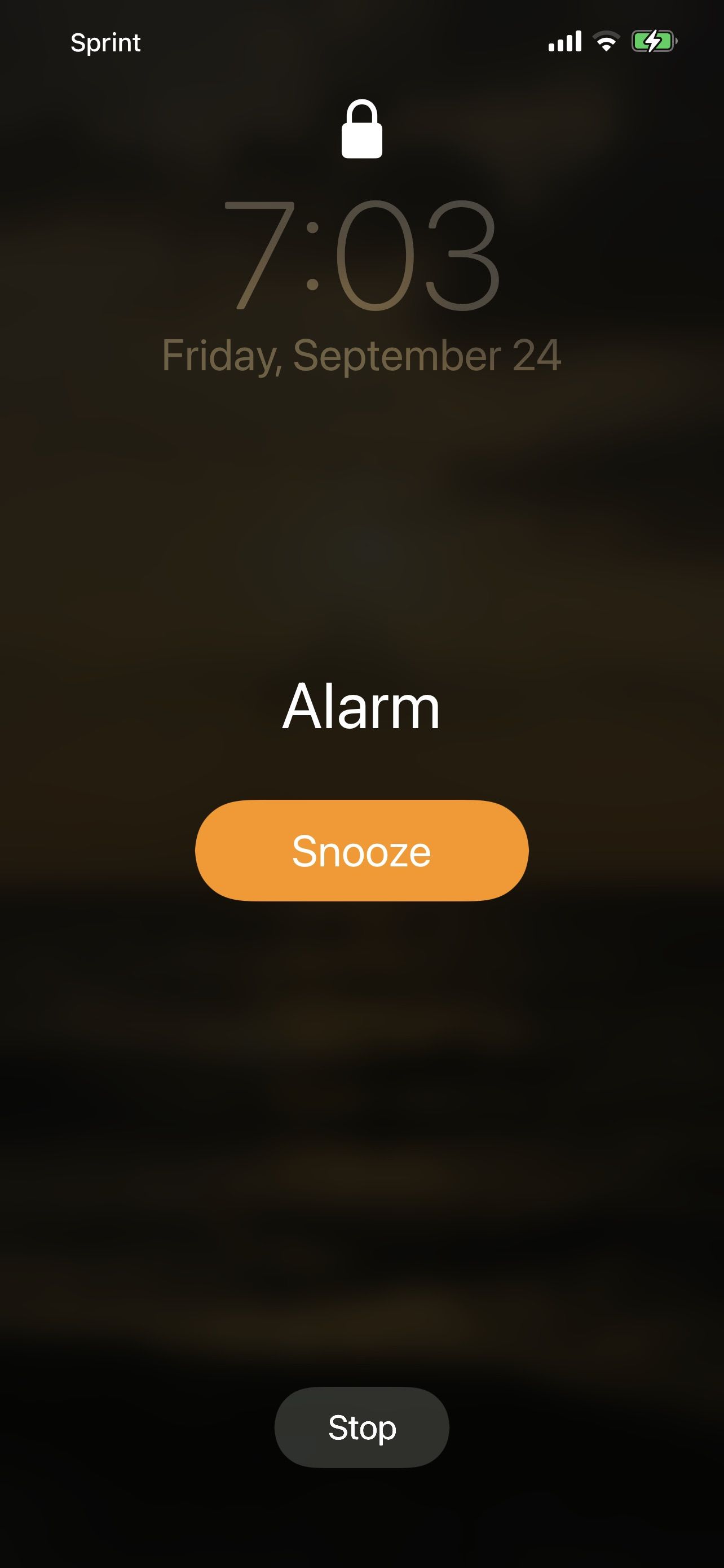 Mr Snooze