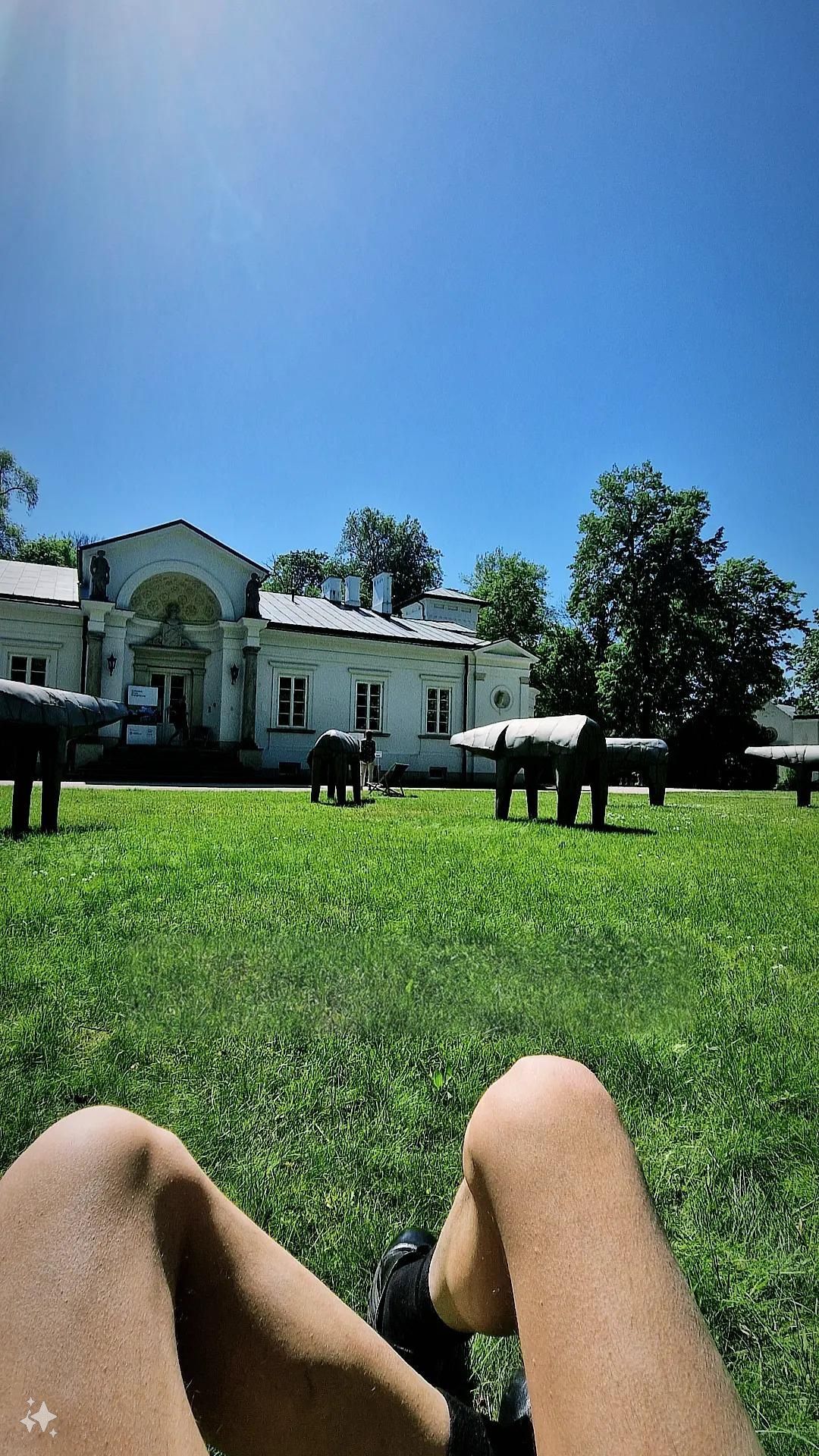 Make this photo looking like art collage in green colours and add copy (text) "ZIELONO MI". 