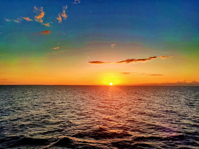 Image uploaded by user