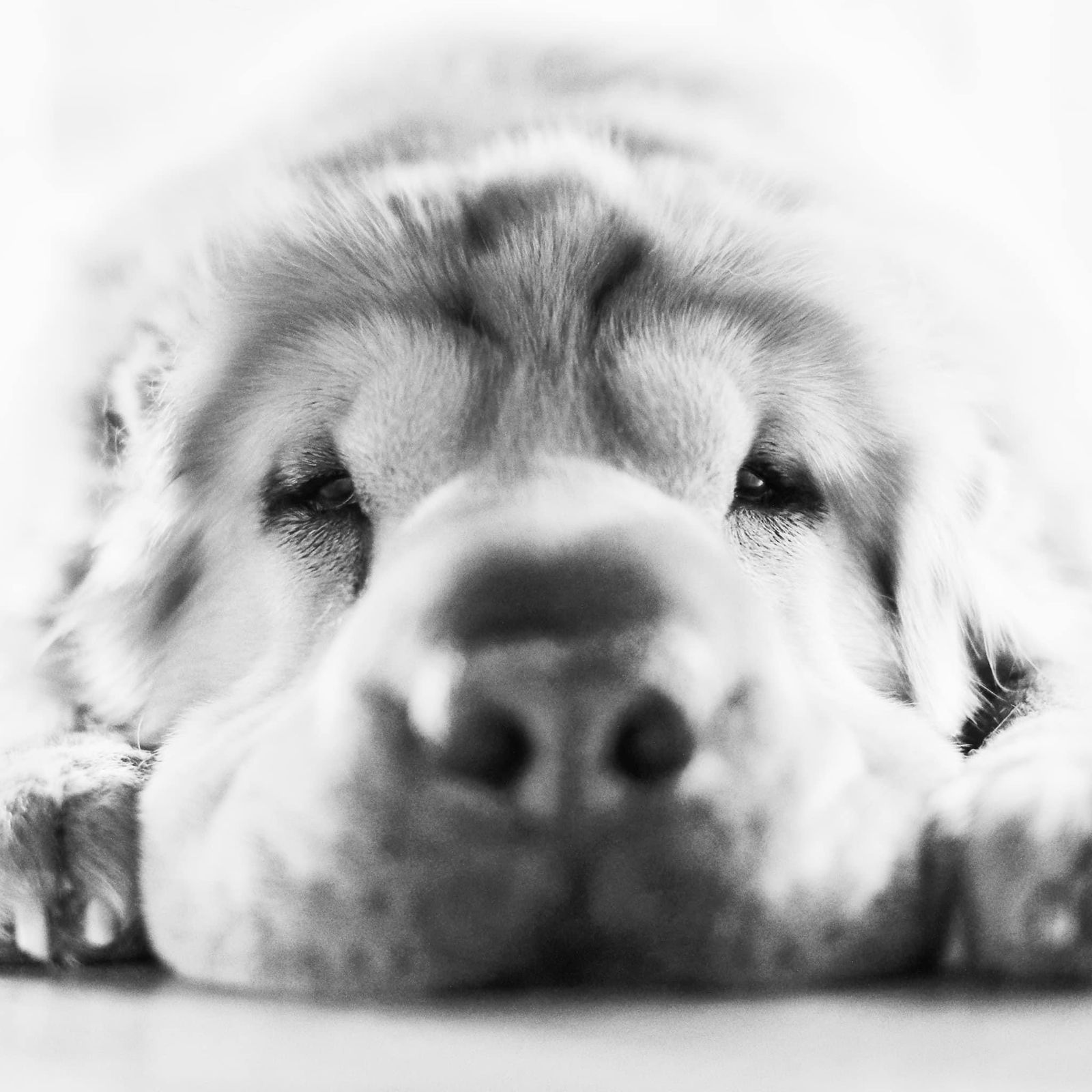 Just a gay I mean guy