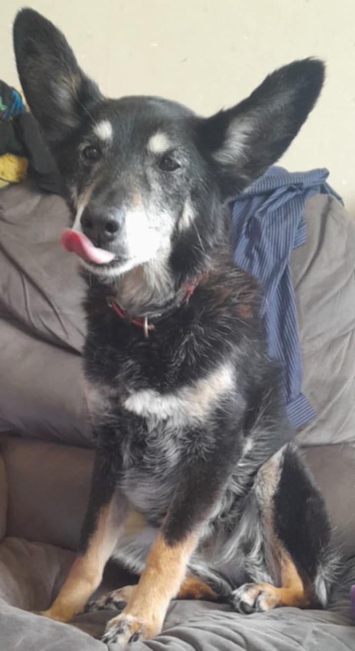 This is Sasha.. She's happy!!