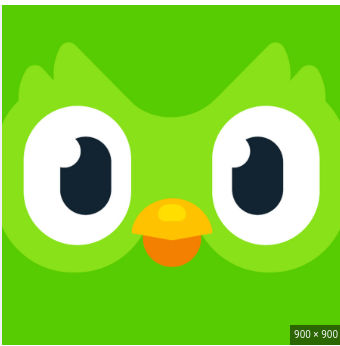 Image uploaded by user