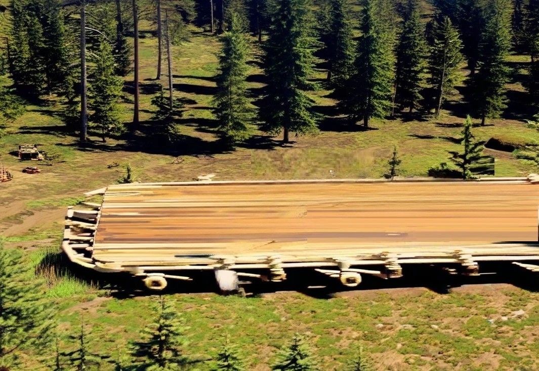 View from diagonally above: Forest clearing: Noah's quader-ark.