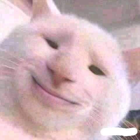 ----