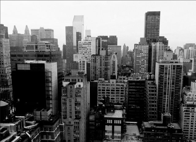 Image uploaded by user