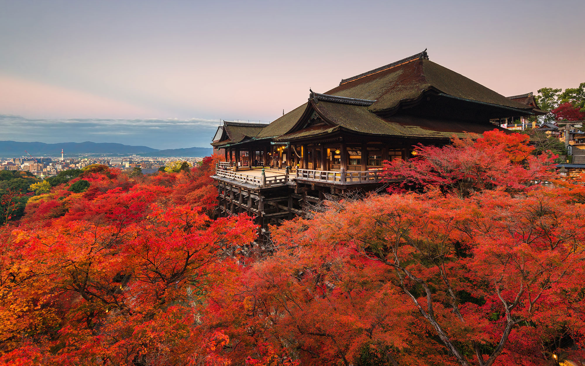 Japanese Tea House, forest, clear blue sky, sunny day, nitid, hdr