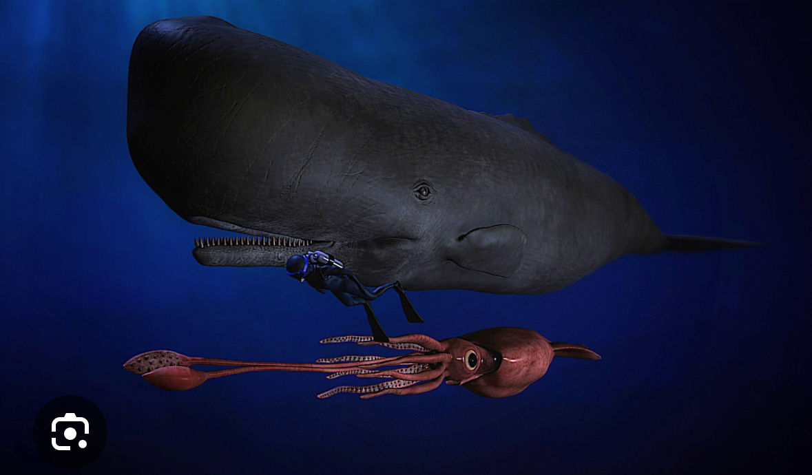 ~hyperrealistic 3D image~massive toothed whale grabs a colossal squid in its mouth, preparing to devour the squid. The tentacles of the squi...