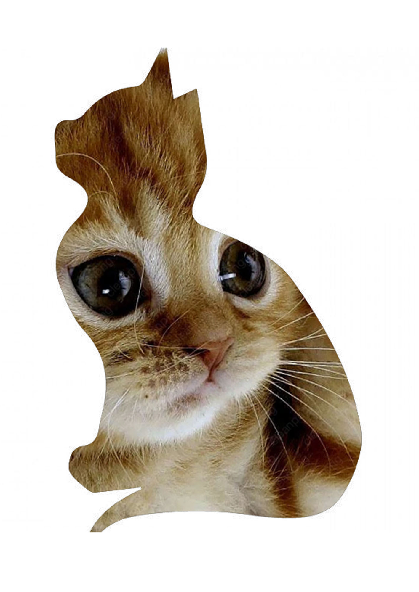 A creative double-exposure style image of a cat. The overall silhouette is the side profile of a sitting cat, with ears upright and tail wra...