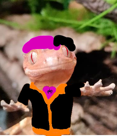 lordmushroom