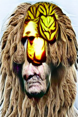 Poor Lion