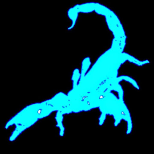 Icebluscorpion