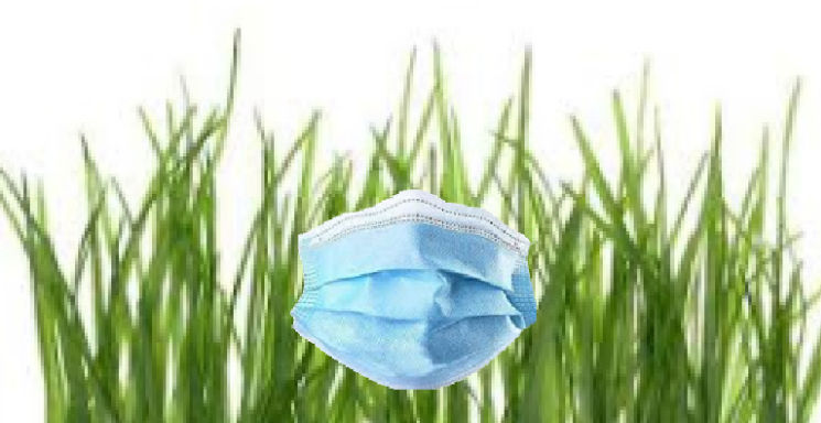 organic_grass