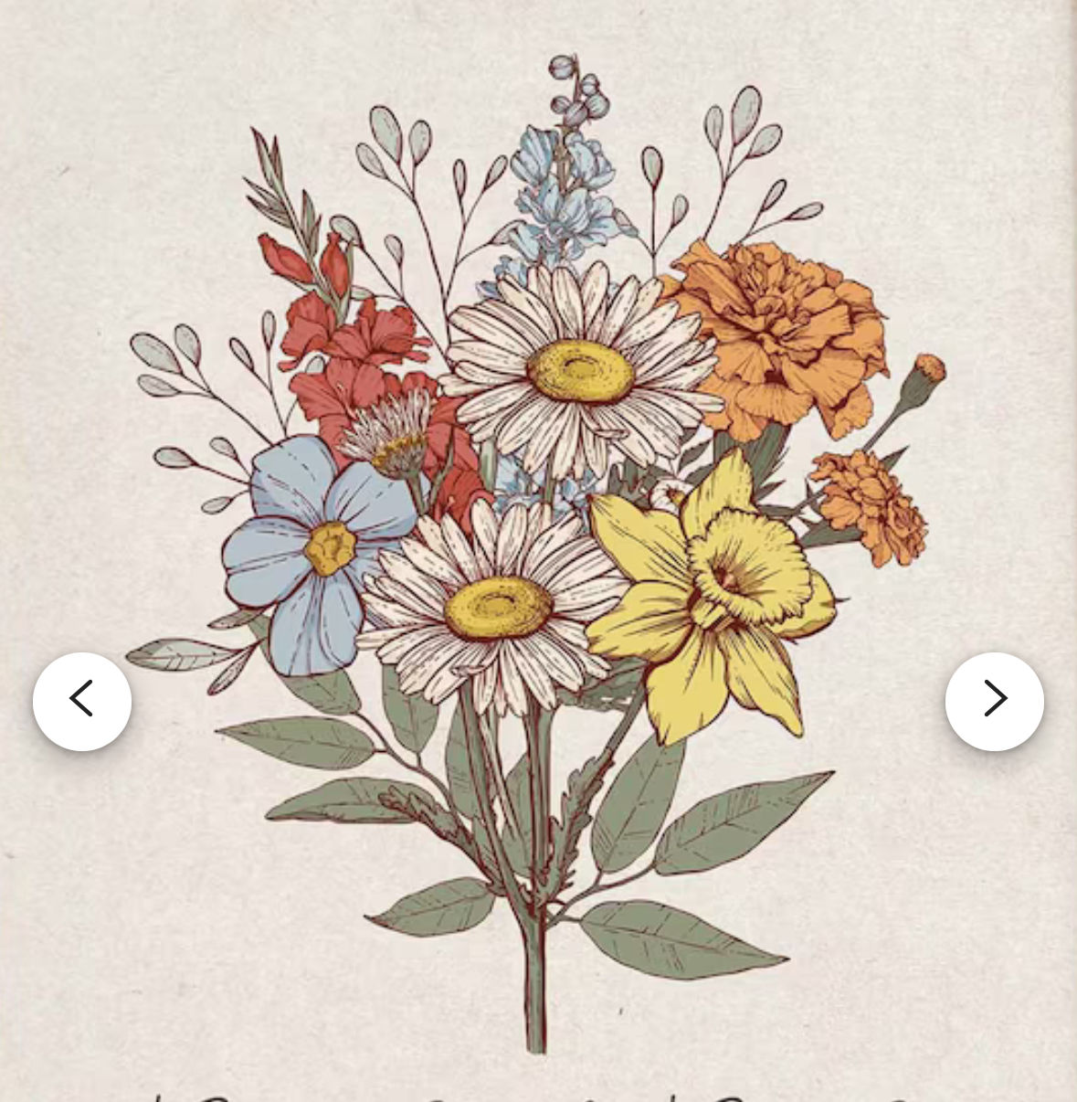 flower bouquet, daisy, honeysuckle, larkspur, morning glory, peony, chrysanthemum, narcissus, plain white background