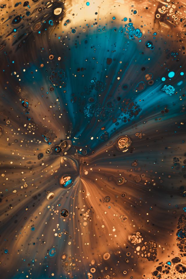 Image uploaded by user