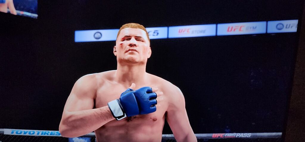 A (medieval bare knuckle brawler:1.5), fantasy, bare knuckle fighter