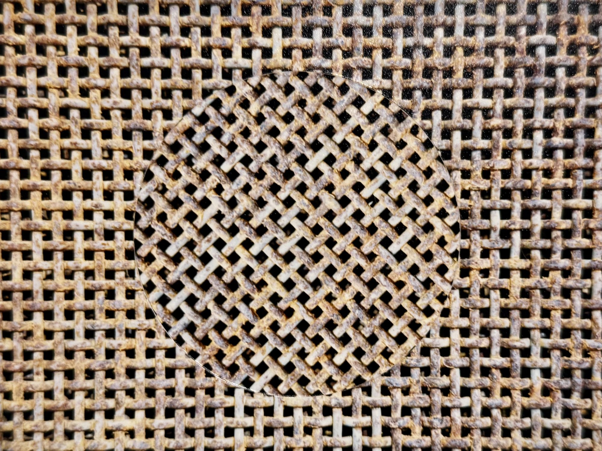  An apple with feelings 