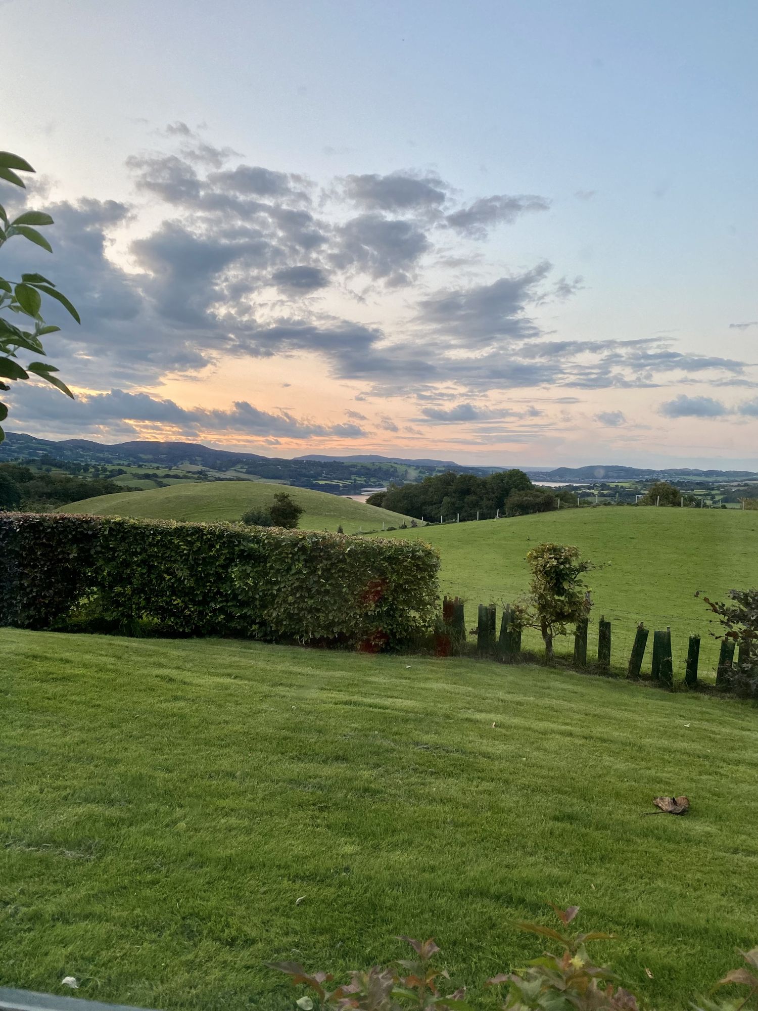 Image uploaded by user