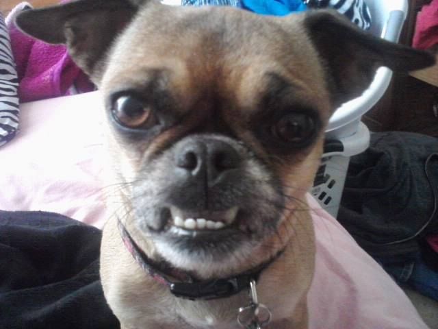 Image uploaded by user