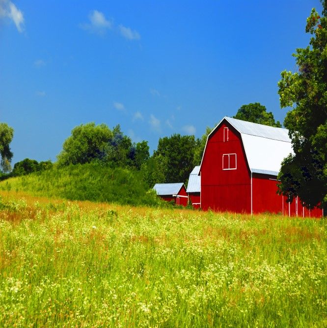 A red barn on a farm in the countryside.