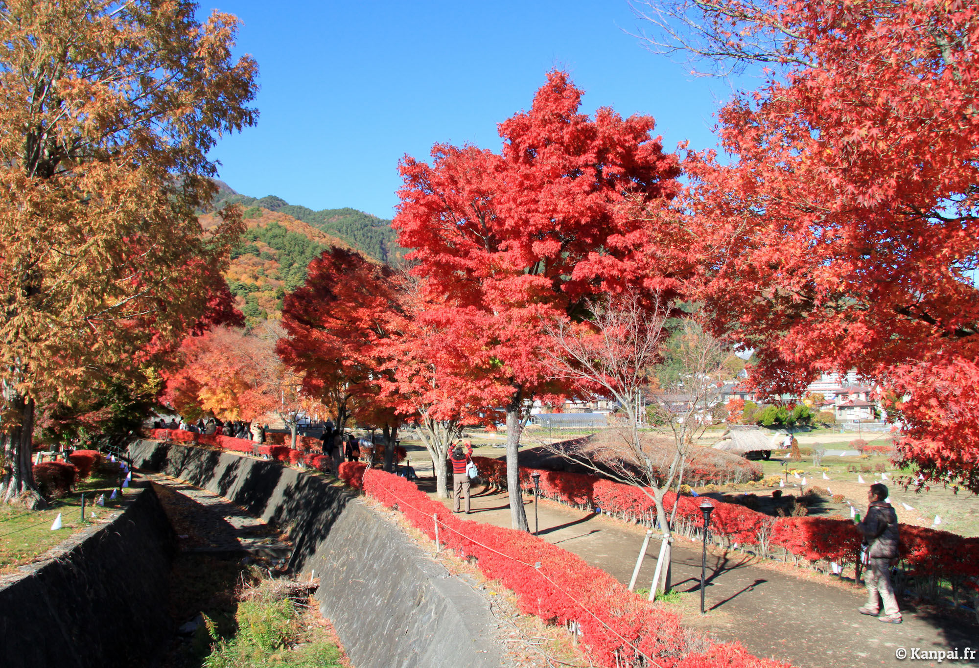 Japon_Yamanashi, Fujikawaguchiko, Kawaguchiko Le superbe lac du Mont Fuji_028