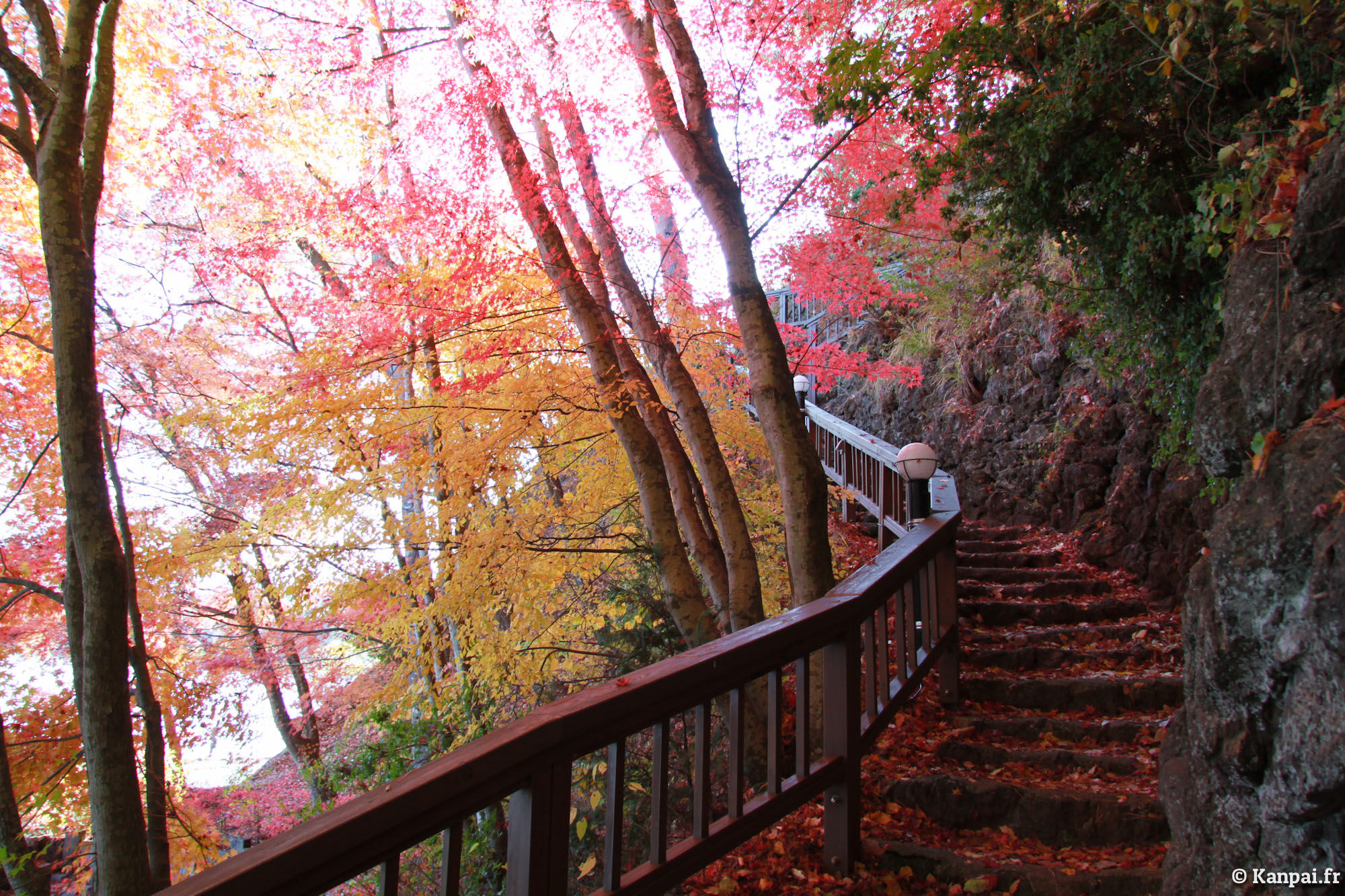 Japon_Yamanashi, Fujikawaguchiko, Kawaguchiko Le superbe lac du Mont Fuji_027