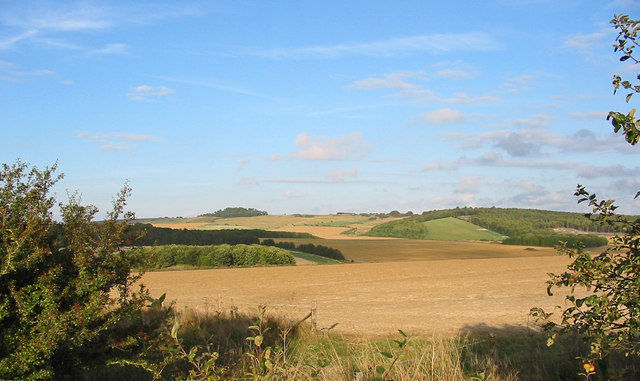 <lora:Ultra Cute Flux:1.0> rural landscape ,weat and sunflowers fields,



