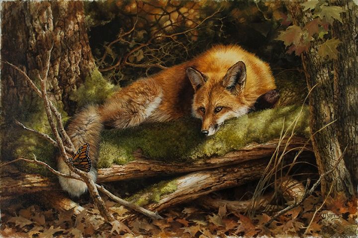 <lora:Atmospheric Neutral:1.0> fox