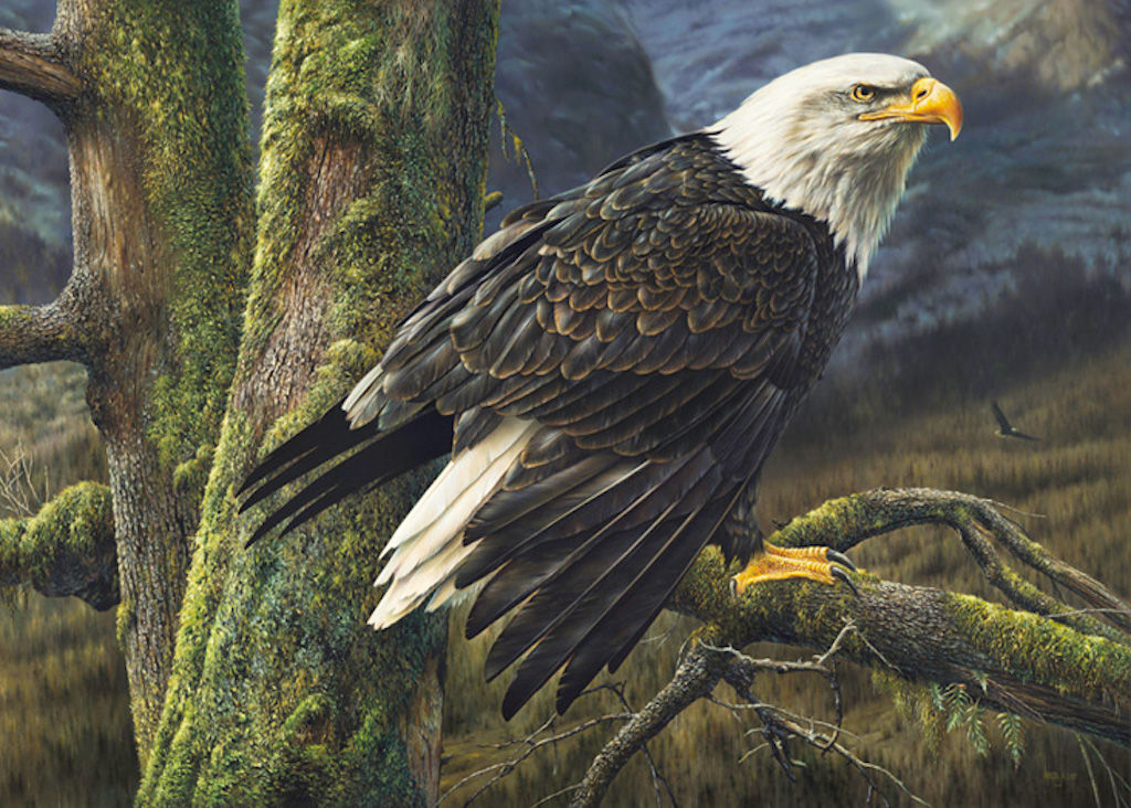 <lora:Atmospheric Neutral:1.0> bald eagle