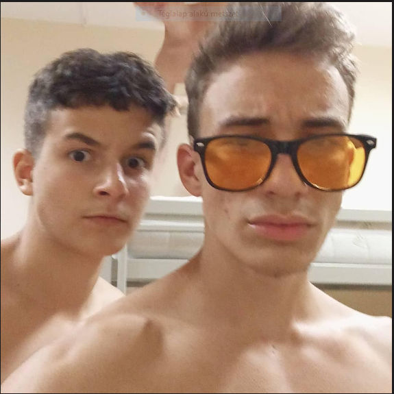 Tiszteletremelto turulmadar