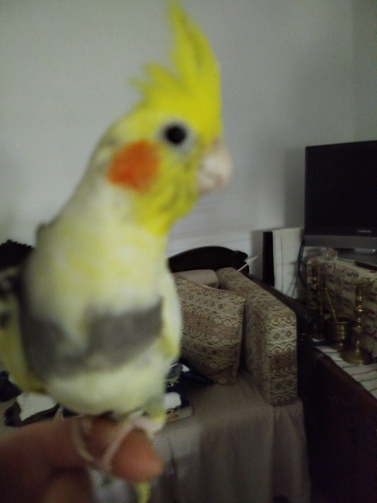 A hidden waterfall cascades into a crystal-clear pool within a lush, prehistoric jungle, illuminated by giant, glowing ferns and exotic flor...
