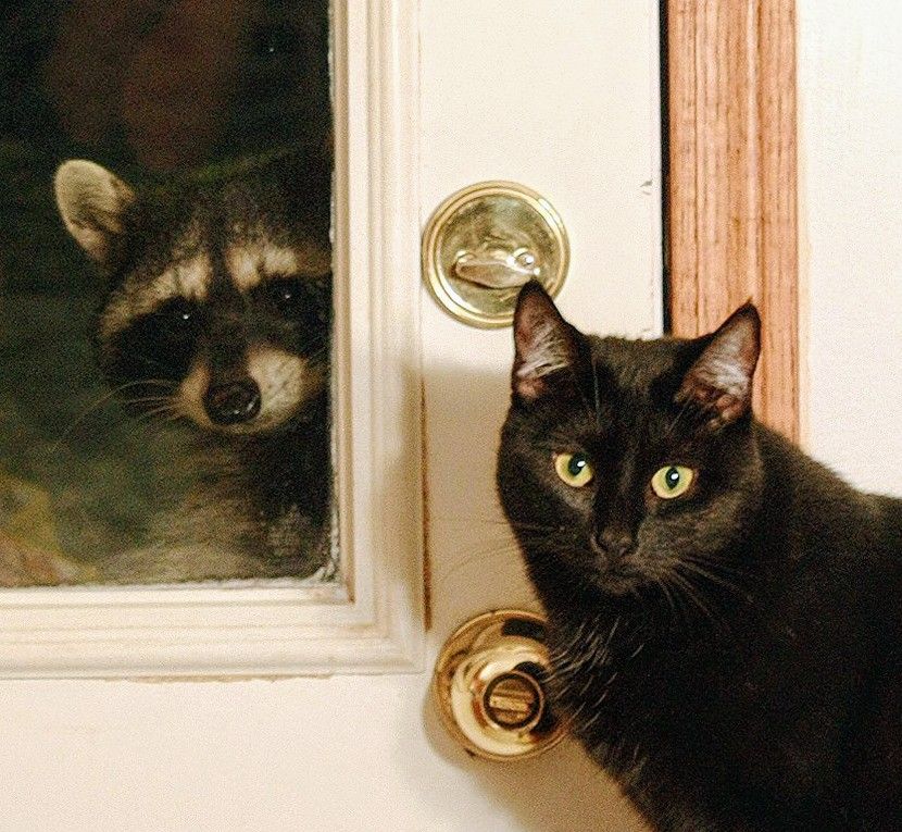 Mom, pizza delivery!