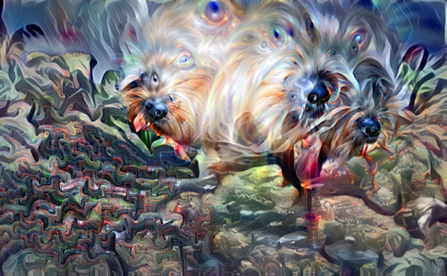 Image uploaded by user