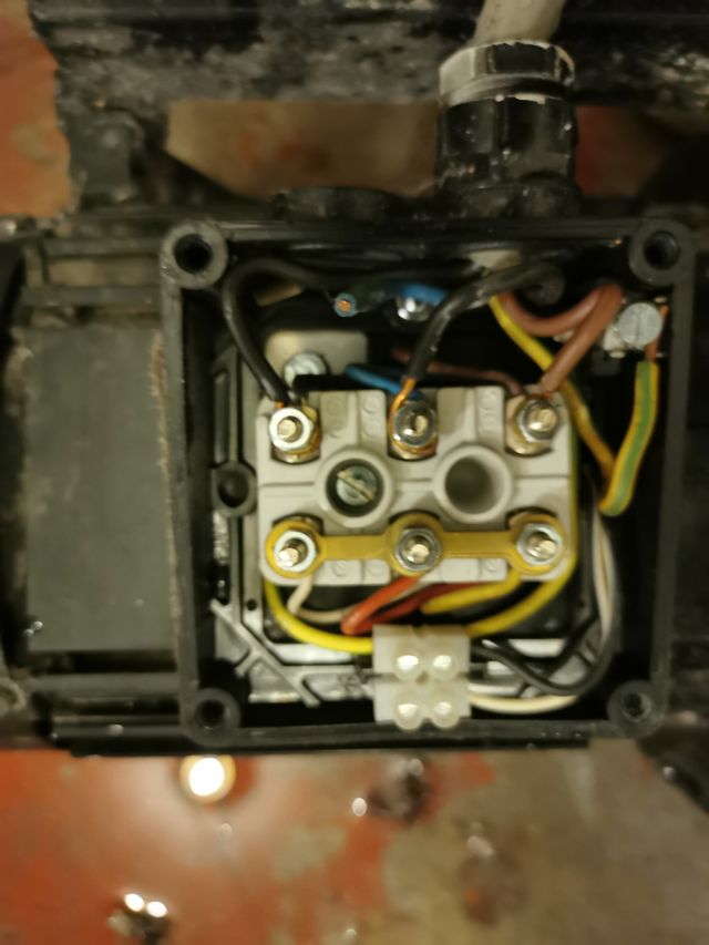 Image uploaded by user